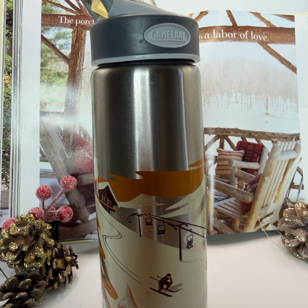 ā„ļøā„ļø Last Chanceā„ļøā„ļø CamelBak Silver Stainless Steel Water Bottle - Ski Graphic - Picture 13 of 13